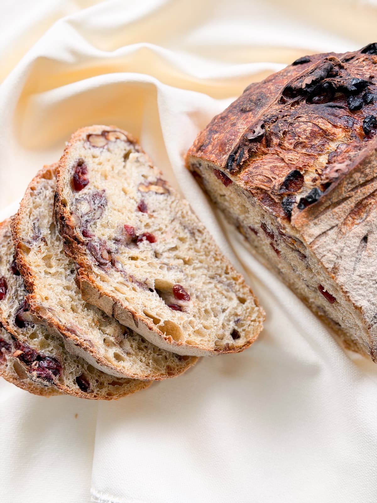 Pan de masa madre con arándanos y nueces, Quiero mi Gaieta